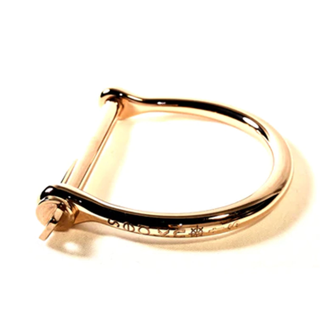 Shackle Bangle (Gold)